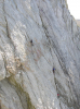 David Jennions (Pythonist) Climbing  Gallery: P5300193.JPG